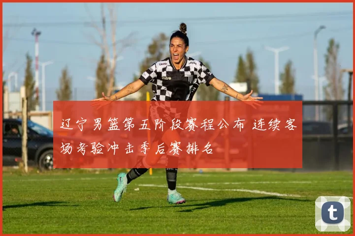 辽宁男篮第五阶段赛程公布 连续客场考验冲击季后赛排名