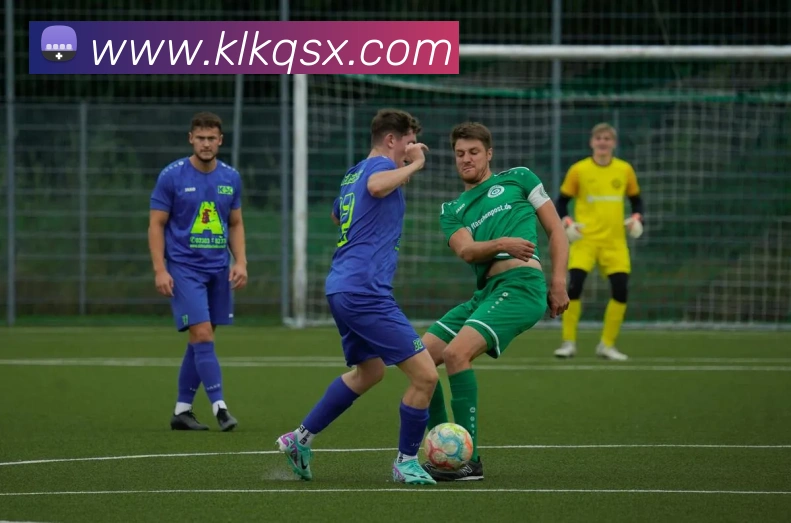 开云官方手机版平台生态图